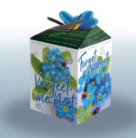 Greengift Forget-me-not