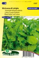 Lettuce Italian Leaf lettuce, Misticanza di Lattghe