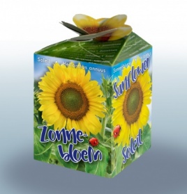 Greengift Sunflower