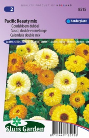 Calendula double mix