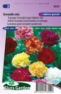 Carnation giant Grenadin double mix