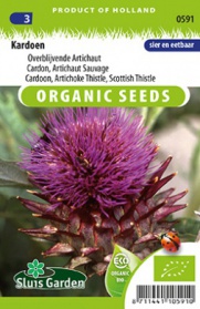 Cardoon Artichoke Thislte, Scottish Thistle