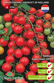 Tomato Supersweet 100 F1