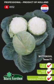 White Cabbage, Texas F1