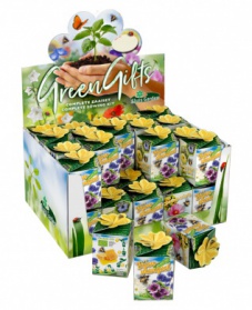 Greengift, Bee Flowers 40 pcs in showbox