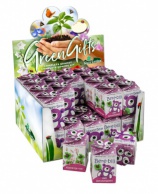 Greengift, Happy-Bear pink 40 pcs in showbox