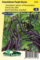 Dwarf French Bean Purple Queen