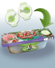 Kit Strawberry Temptation