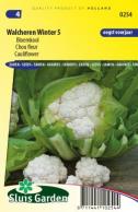 Cauliflower 