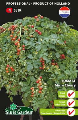 Cherrytomate 'Micro CHERRY' Solanum Lycopersicum Tomate Environ 15 Graines 40380