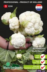 Cauliflower “Multi-Head F1”