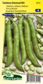 Broad bean Threefold white