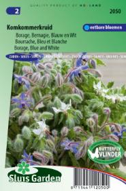 Borage Blue and White (Borago officinalis)