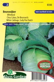White Cabbage, Early flat Dutch Brunswijker