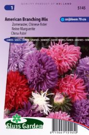 China aster American Branching Mix