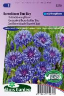 Cornflower Blue Boy double flowered