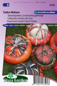 Ornamental Gourd Large Fruited Turkish Turban