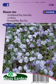 Flax perennial, Blue Flax