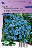 Forget-me-not (woodland) Indigo Blue