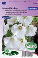 Mallow annual, White Regis