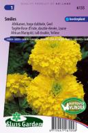 Marigold, African tall double Smiles (Yellow)