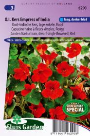 Nasturtium, Indian Cress dwarf single Empress of India red