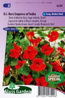 Nasturtium, Indian Cress dwarf single Empress of India red