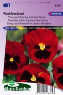 Pansy Swiss Giants Alpenglow