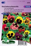 Pansy Swiss Giants Choice Mix