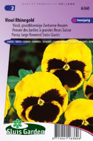 Pansy Swiss Giants Rhinegold