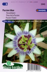 Passion Flower Passion Blue