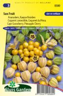 Pineapple Cherry SunFruit (Cape Gooseberry)