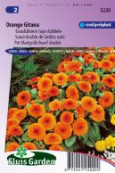 Calendula (Pot Marigold) Orange Gitana dwarf double