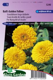 Calendula (Pot Marigold) Ball's Golden Yellow tall double