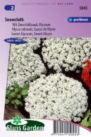 Sweet Alyssum, Sweet Alison Snowcloth