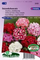 Sweet William Single Choice Mix